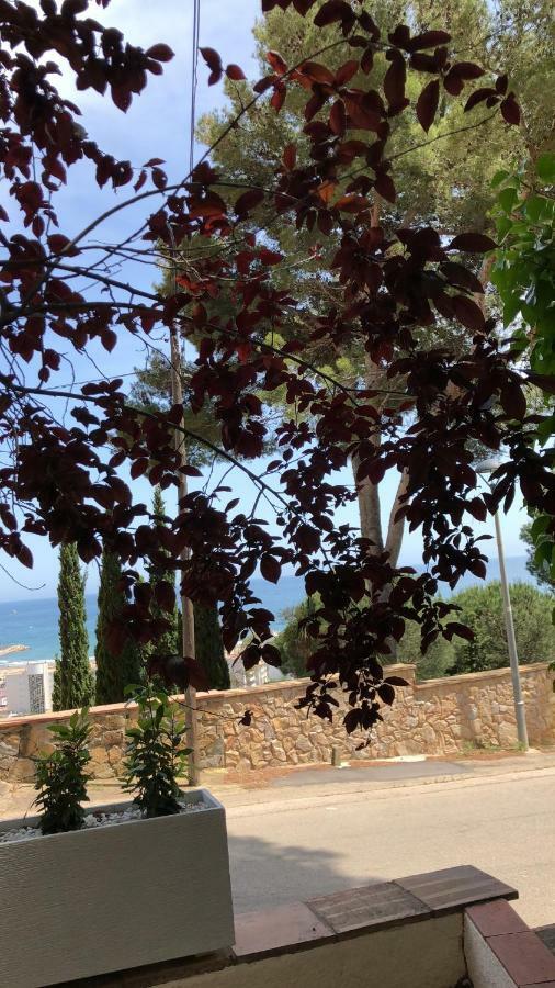 Mediterrania 98 Torroella de Montgrí Eksteriør bilde